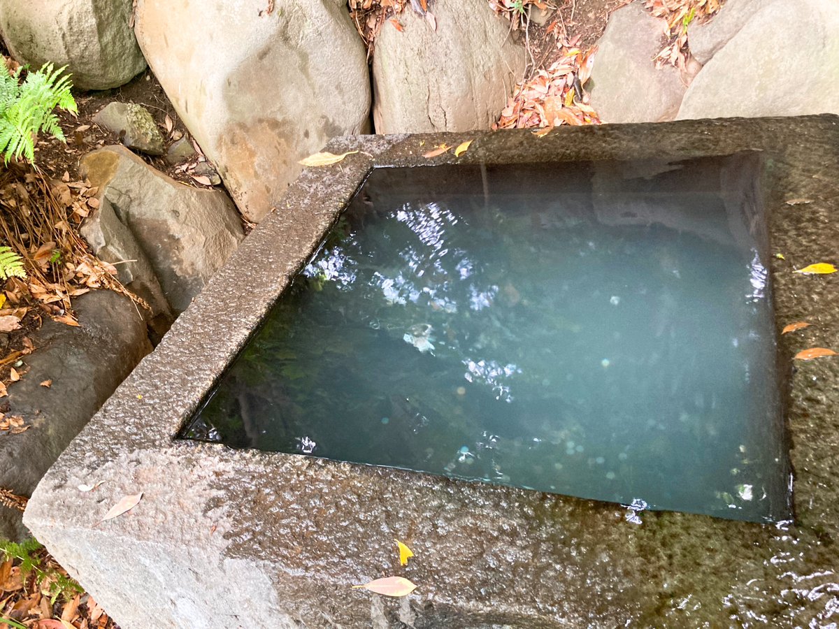 それと二の丸庭園の井戸が白っぽくなっていました。濁る、というよりは細かい気泡のようです。あと誰か知らんけど井戸にコイン投げるのやめて〜しかも1円とか5円玉が多いの、外国人かな👀  #皇居 #東御苑 #昼散歩 #パワースポット