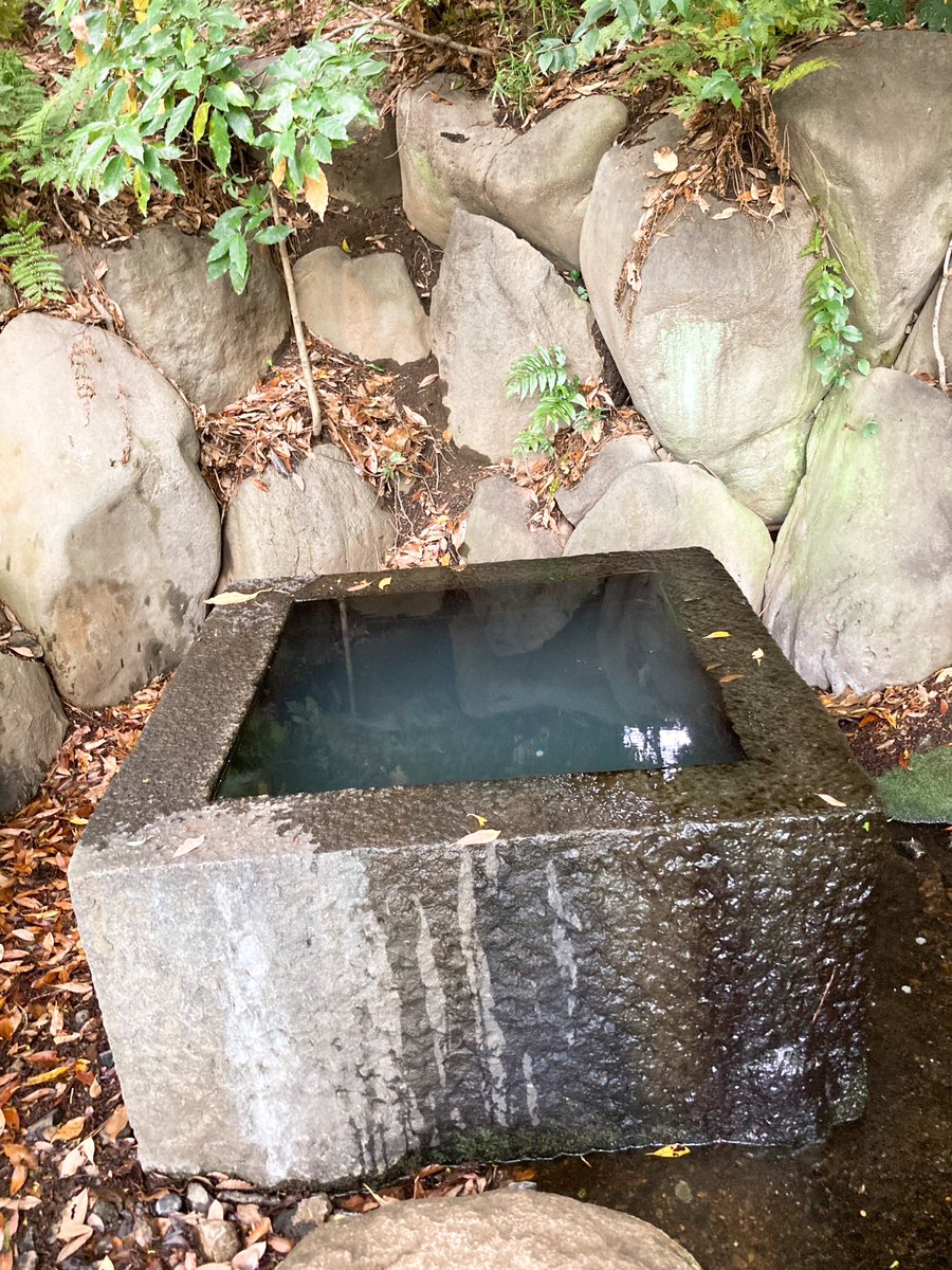 それと二の丸庭園の井戸が白っぽくなっていました。濁る、というよりは細かい気泡のようです。あと誰か知らんけど井戸にコイン投げるのやめて〜しかも1円とか5円玉が多いの、外国人かな👀  #皇居 #東御苑 #昼散歩 #パワースポット