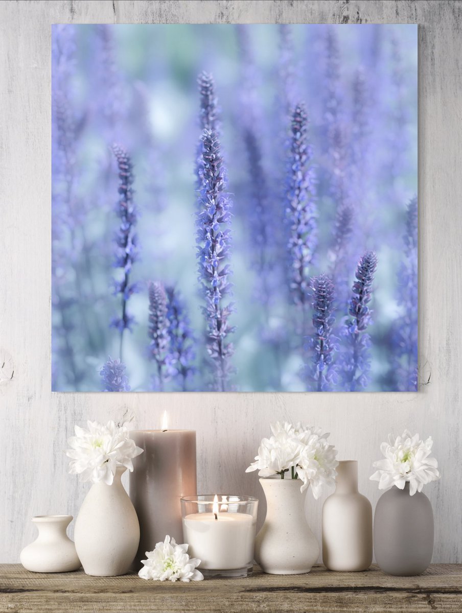 Tranquility 

Prints and more HERE: 5-tanya-smith.pixels.com/featured/tranq…

#wallartforsale #WallArtDecor #prints #FloralBeauty #FillThatEmptyWall #BuyIntoArt #giftideas #gifts #interiordecor #homedecor #floralart #PhotographyIsArt