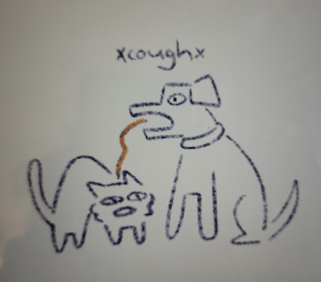 The cat's name is Tax Evasion, Eva for short
The dog (Warc) is coughing up a noodle and now dislikes Asians