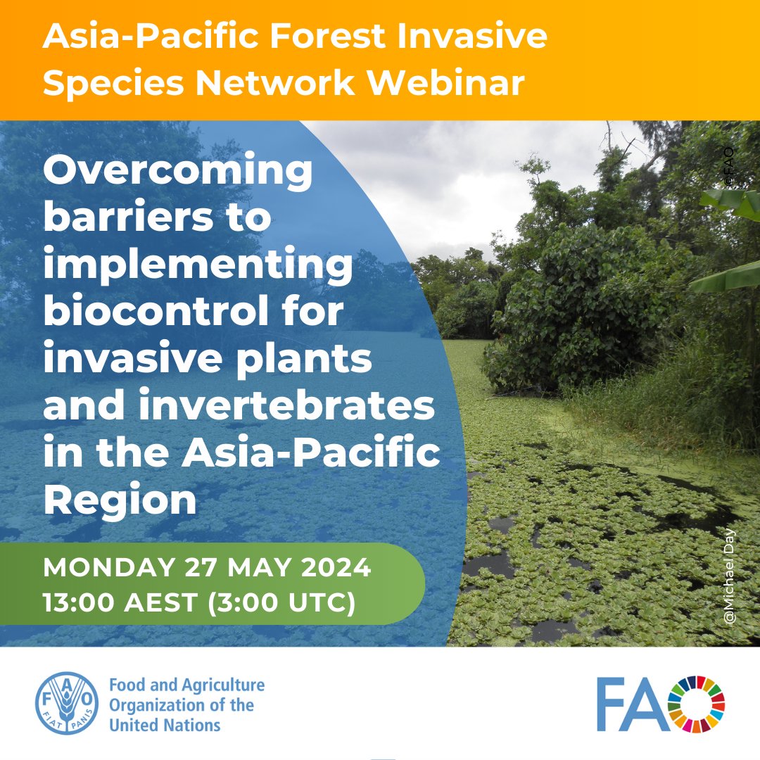 📣 Join @FAO for an Asia-Pacific Forest Invasive Species Network webinar Overcoming barriers to implementing biocontrol for invasive plants and invertebrates in the Asia-Pacific Region 🗓️ Monday 27 May 2024 ⏰ 13:00 AEST (3:00 UTC) usc-au.zoom.us/j/85481917089 @FAOAsiaPacific