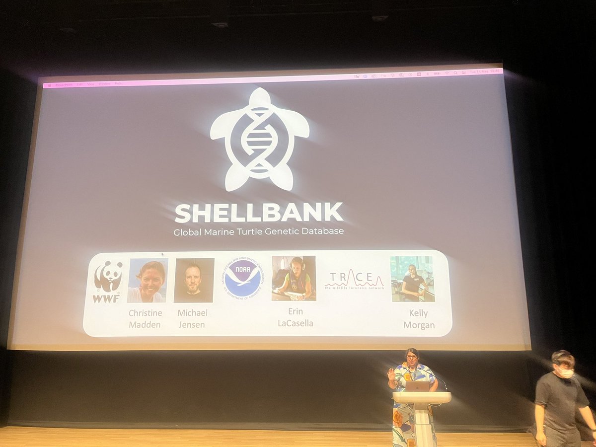 Tracey-Leigh Prigge 👩🏻‍🔬🧬🧪🇿🇦🇭🇰 tweet media