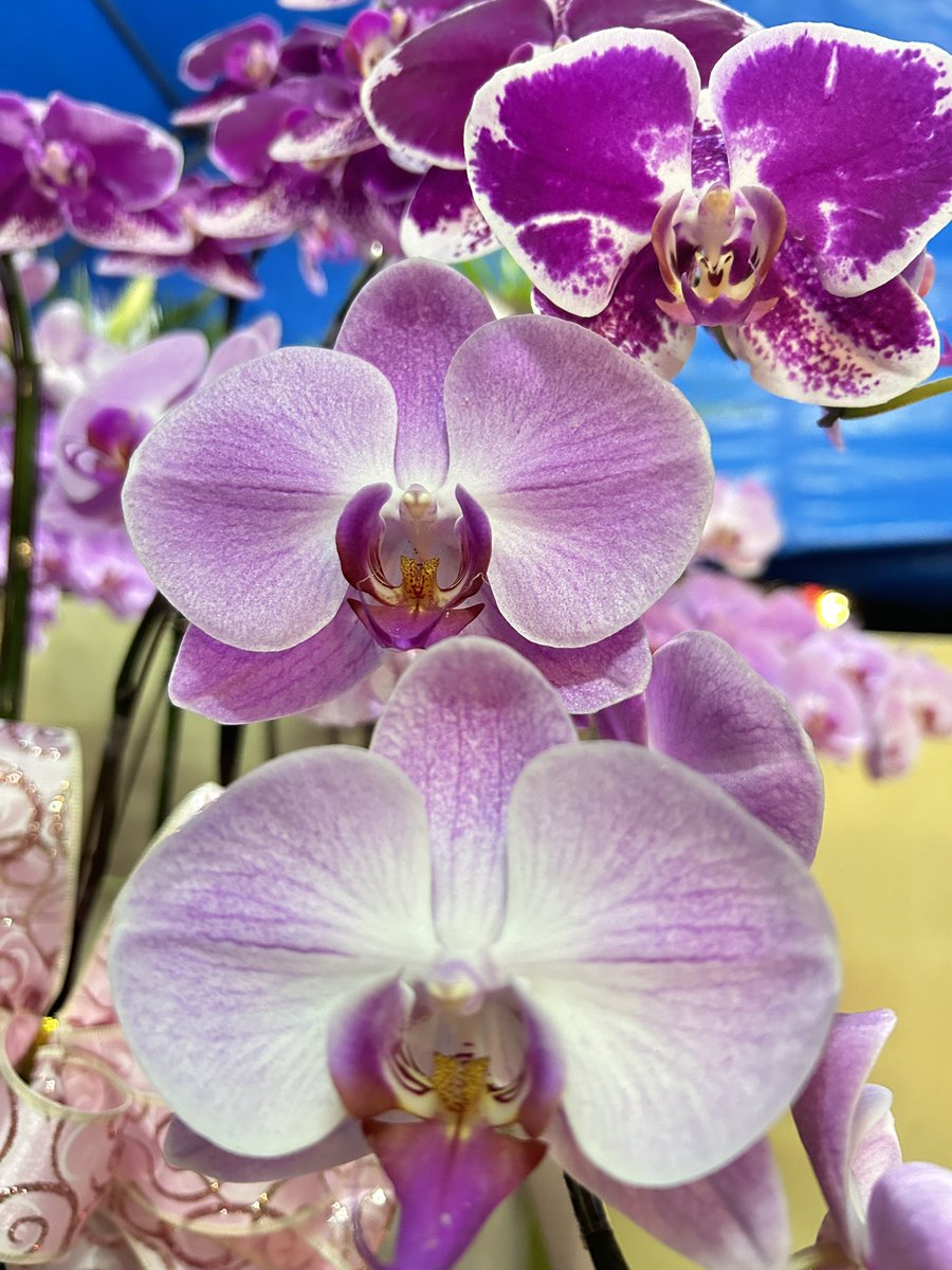 過了一個沒有阿嬤、沒有媽媽的母親節。 

哭完
還是要繼續努力生活（生存？