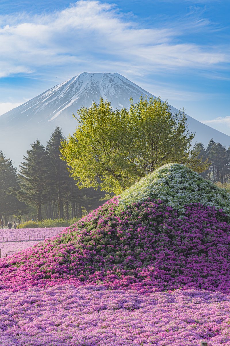 2つの富士山が重なる空間