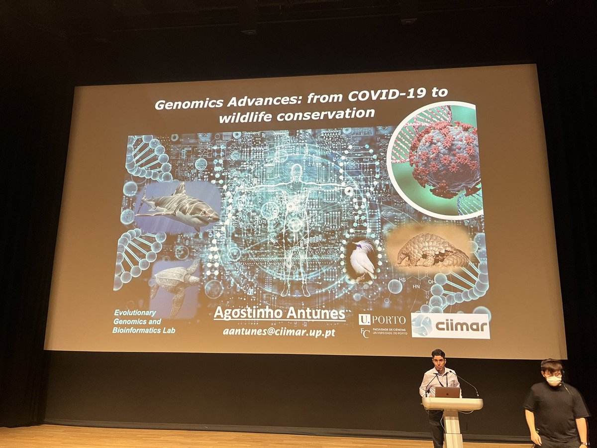 Afternoon talks highlighting great work being carried out all over! Jessica Lee from Mandai Nature, Annie Song from Korea, Rebecca Wong from CityU and Agostinho Antunes from Portugal