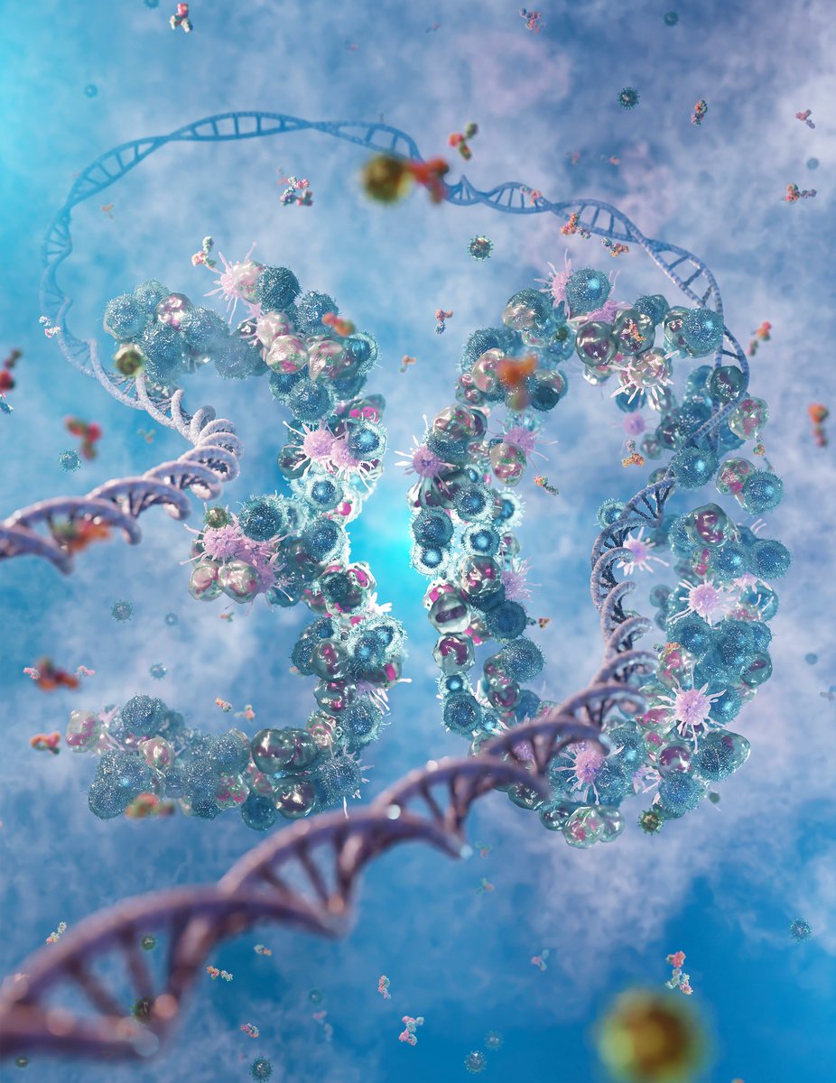 Iannacone Lab (@iannaconelab) on Twitter photo Excited to share that our cover design for Immunity's 30th anniversary was a finalist! 🎉 Check out the featured submissions and our story in the latest issue: cell.com/news-do/immuni… Credits: <a href="/frarro1/">Francesco Andreata</a> and Paolo Montuschi. #Immunology #Research #ScienceArt <a href="/SanRaffaeleMI/">Ospedale San Raffaele</a> Excited to share that our cover design for Immunity's 30th anniversary was a finalist! 🎉 Check out the featured submissions and our story in the latest issue: cell.com/news-do/immuni… Credits: <a href="/frarro1/">Francesco Andreata</a> and Paolo Montuschi. #Immunology #Research #ScienceArt <a href="/SanRaffaeleMI/">Ospedale San Raffaele</a>