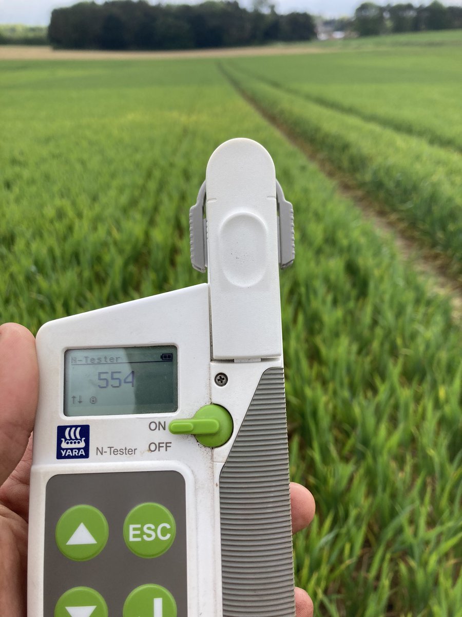 Framework for Improving Nitrogen Efficiency (@nue_profits) on Twitter photo Split N trial with foliar variations coming along nicely. Whole plant and above ground samples collected for each plot and ready to be delivered to <a href="/HillCourtFarm/">Hill Court Farm</a>! <a href="/MrGreenstar/">Carl Pitelen</a> <a href="/BenBurgessAg/">Ben Burgess</a> <a href="/Cliveblacker/">Clive Blacker</a> Split N trial with foliar variations coming along nicely. Whole plant and above ground samples collected for each plot and ready to be delivered to <a href="/HillCourtFarm/">Hill Court Farm</a>! <a href="/MrGreenstar/">Carl Pitelen</a> <a href="/BenBurgessAg/">Ben Burgess</a> <a href="/Cliveblacker/">Clive Blacker</a>