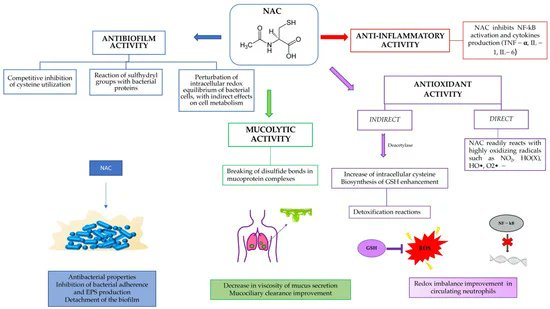 In case you have missed it, here is the #HighlyCited article on our #Pharmaceuticals N-acetylcysteine (NAC) and Its Role in Clinical Practice Management of Cystic Fibrosis (CF): A Review by Guerini et al. Enjoy reading: mdpi.com/1424-8247/15/2… @MDPIBiologySubj