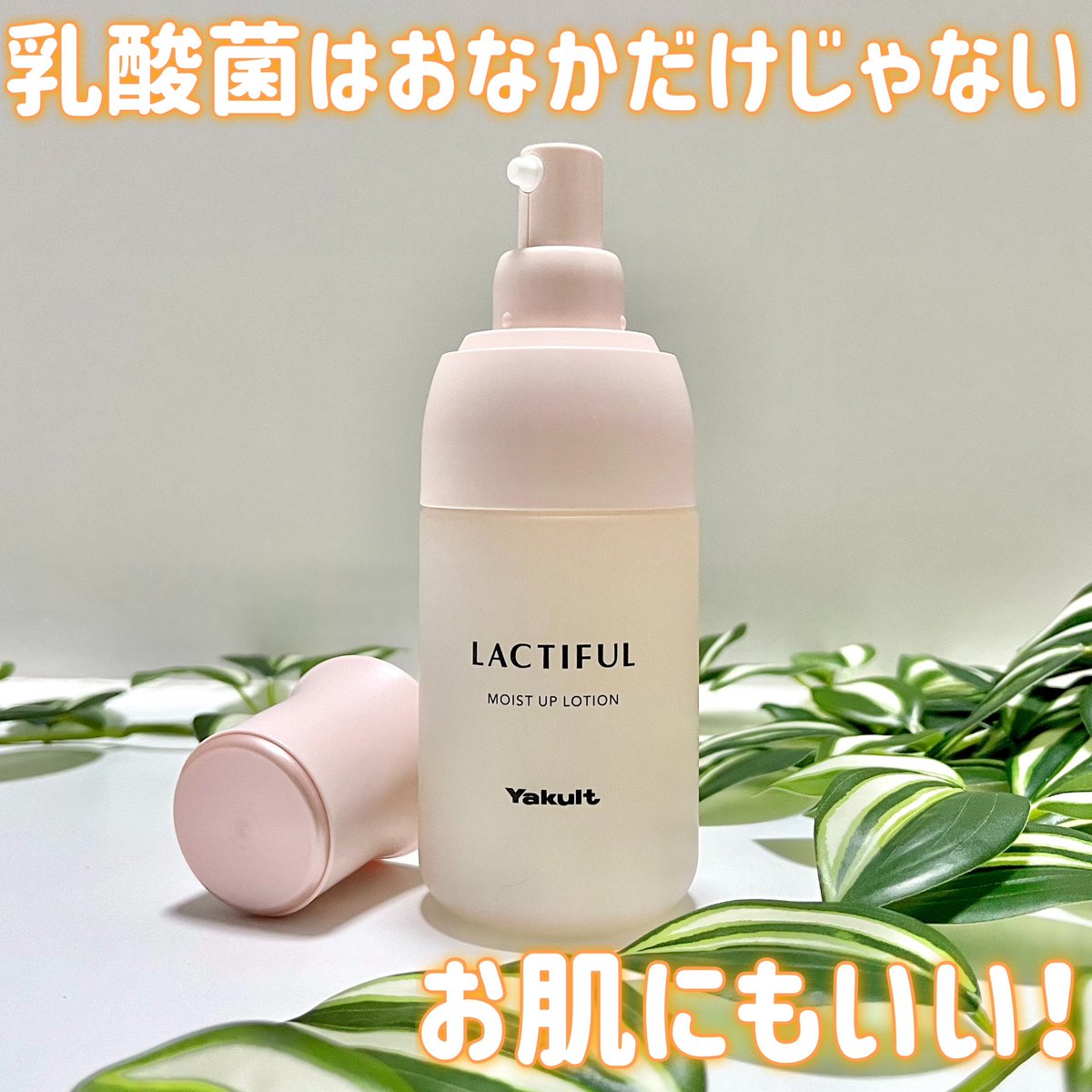 kigi_oriori's tweet photo. #PR #ヤクルト #ラクティフル @yakult_lactiful
▶︎モイストアップ ローション
ヤクルトからスキン��ア!?とろみのあるローションは2回に分けて肌になじませると◎
⤵︎
https://t.co/I5WCyK06Zm
#もっちり肌 #乳酸菌コスメ #ヤクルト化粧品 #lactiful ※乳酸菌:乳酸菌由来の保湿成分のこと https://t.co/mJNdYMVZmq
