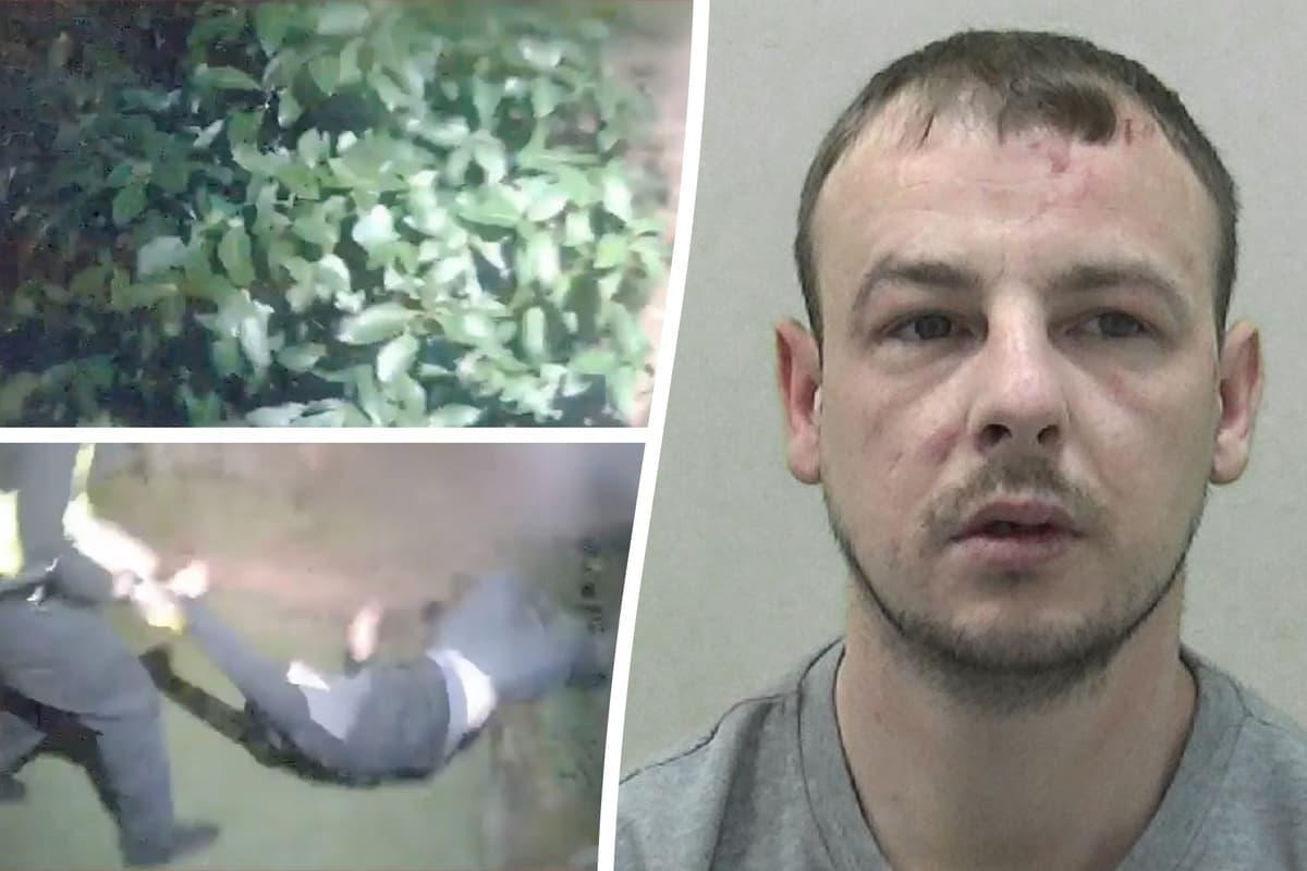 Watch: Burglar hides in bushes to evade police after luxury estate break-ins newcastleworld.com/watch-this/bur…