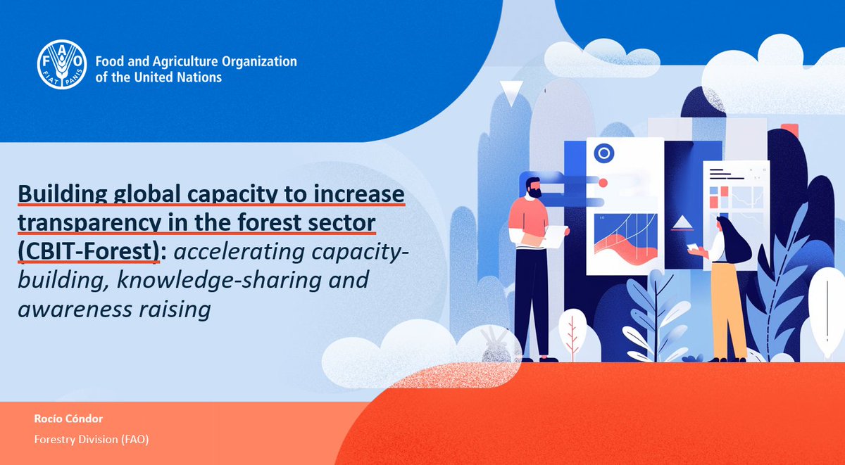 📢Do you want to learn more about enhancing global #ForestData transparency for climate action? Don’t miss insights from the webinar we organized on the 30th of March together with Kenya, Mexico, #FAO @UNFCCC and @theGEF bit.ly/CBITweb #Together4Transparency #COP29