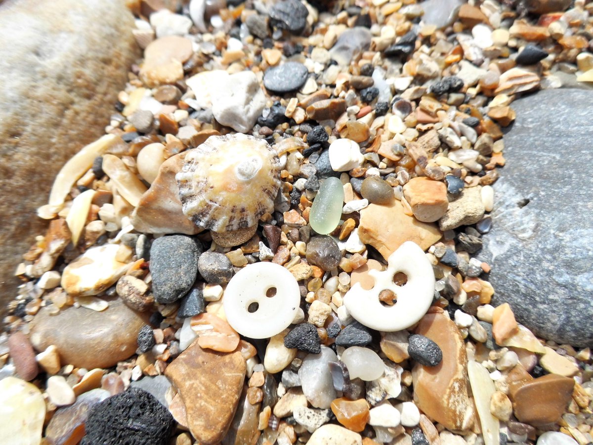 A Bounty of Beachy Bits and Bobs!! #beachfinds #seaglass #beachcombing #curiosities #oceanplastics #cullercoats #treasure #pottery