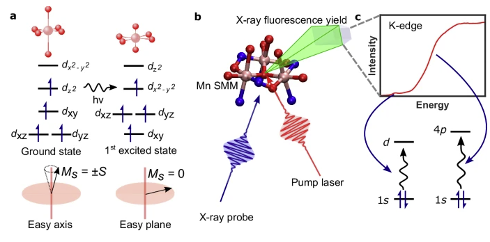 Very excited to share results using XAS at the SACLA free-electron laser to determine bond length changes in a photoexcited single-molecule magnet @EdinburghChem @ChemistryNCL nature.com/articles/s4146…