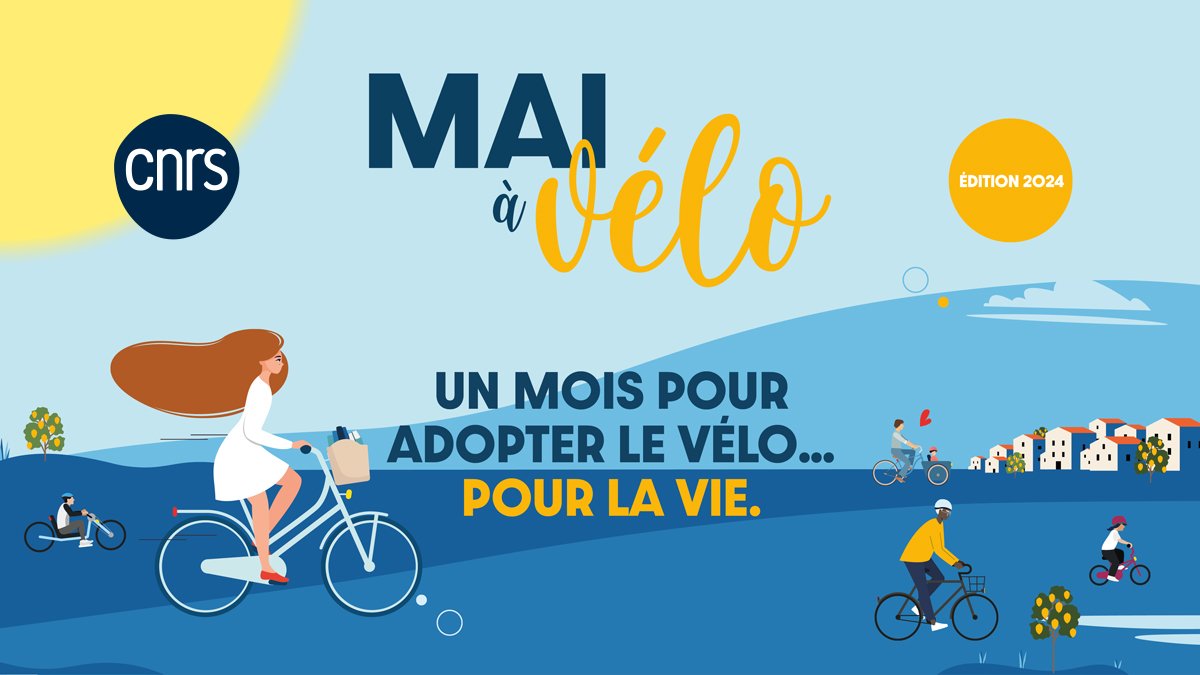 🚴 #MaiàVélo 🚴| 353 kilomètres ont déjà été parcourus en deux semaines par l'équipe @CNRS_HdF. Bravo à nos cyclistes !! 💪 On continue toutes et tous de pédaler pour le @CNRS ! ➡️ hauts-de-france.cnrs.fr/fr/cnrsinfo/ma…
