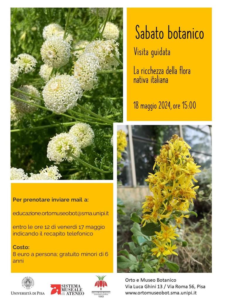 #botanica #Pisa #flora
@TerrediPisa @PisaTurismo @Unipisa @ComunePisa @regionetoscana