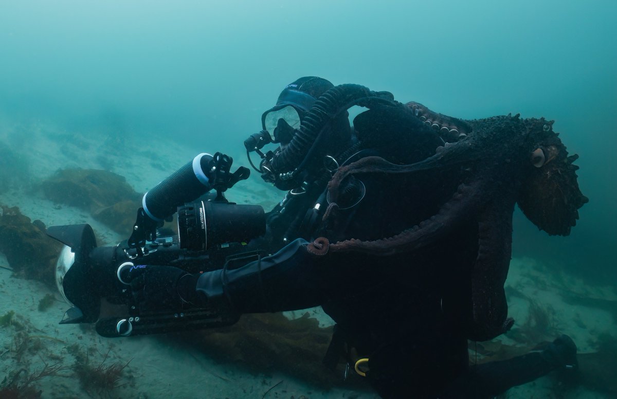 divesoft's tweet image. A few photos from our ambassador Maxwel Hohn.
Do you know what kind of rebreather he used during filming "Secrets of the Octopus" for National Geographic?
His choice is a CCR Liberty Light + ODA.
divesoft.com/light
