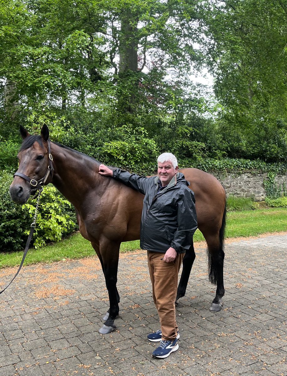 Delighted to be in the presence of greatness yesterday: #SeaTheStars at 18 is a credit to all the team at Gilltown ⁦@AgaKhanStuds⁩
