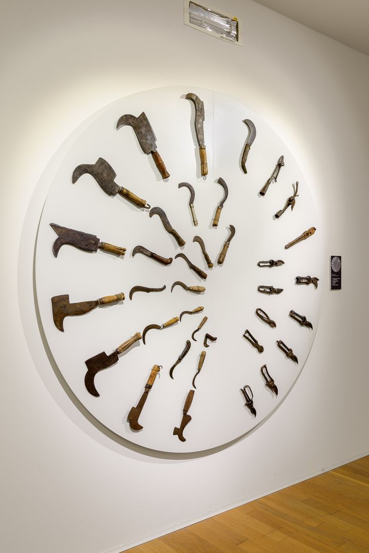 VisitFVG's tweet photo. 🍇 Il Museo della civiltà del vino del Friuli Venezia Giulia a #Buttrio è il luogo giusto per conoscere meglio l'arte vinicola: la mostra a Villa di Toppo Florio celebra la storica connessione tra terra e vino
#iosonofvg #visitfvg https://t.co/jlBw3FTklP