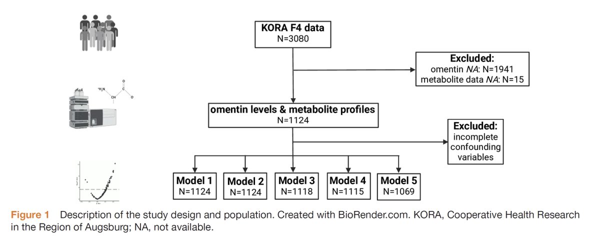 Did you know that omentin associates with serum metabolite profiles indicating lower #diabetes risk? Here the latest from the KORA F4 Study. @HelmholtzMunich drc.bmj.com/content/12/2/e… drc.bmj.com/content/12/2/e…