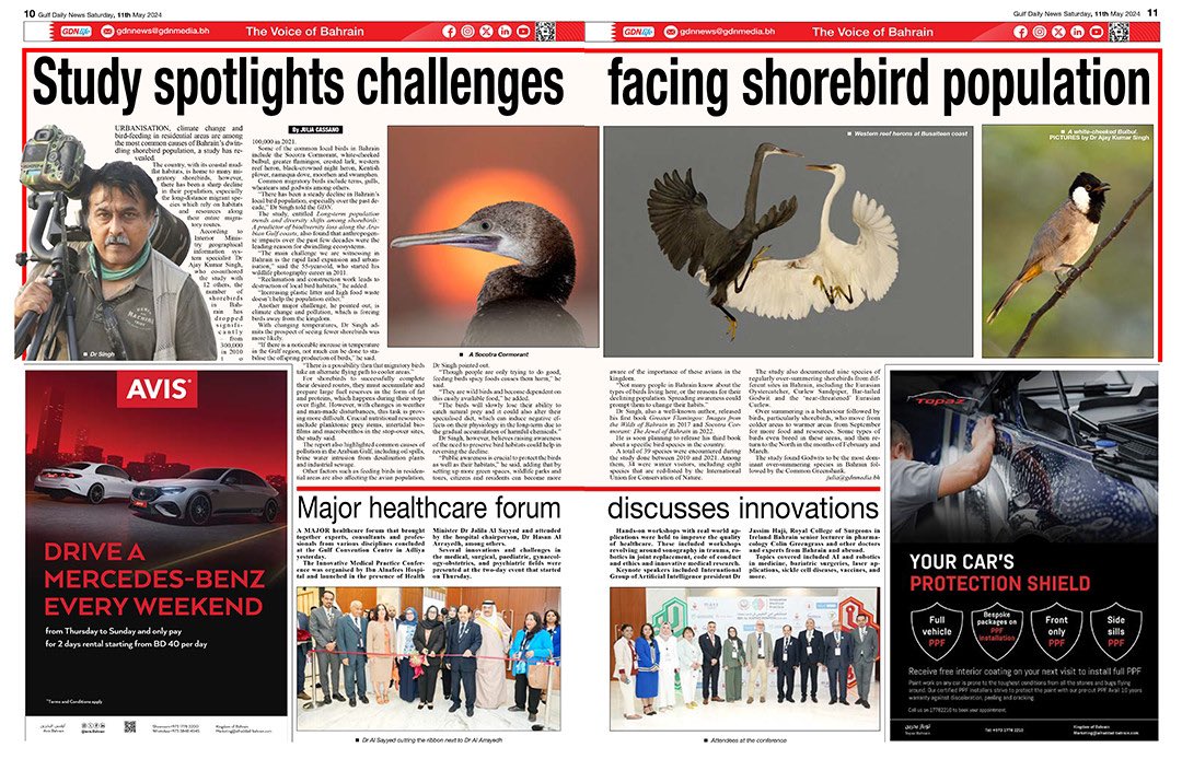 Thank you so much @JuliaCassano & GDN (Gulf Daily News) for publishing such a nice article on shorebird populations and challenges in Bahrain.