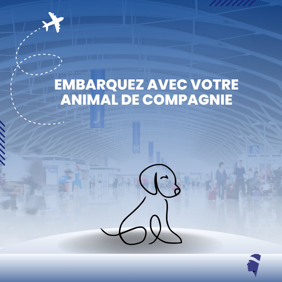 #ByAirCorsica 🐶 Chez Air Corsica, nous acceptons votre animal de compagnie à bord de nos vols, il est considéré comme un bagage supplémentaire payant. Retrouvez toutes les infos pour le transport de vos animaux en #soute ou en #cabine 👉 ow.ly/XBqb50Rp8zQ
