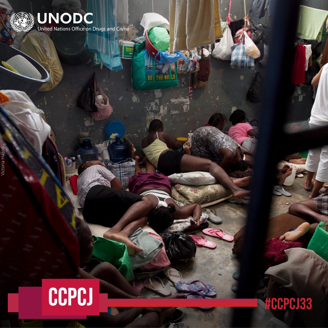 Globally, more than 11.5 million people are incarcerated: a staggering 27% increase since 2000. This surge has led to overcrowding & poor prison conditions, which jeopardize human rights. Addressing these issues is a priority for UNODC: bit.ly/44stix6 #CCPCJ33