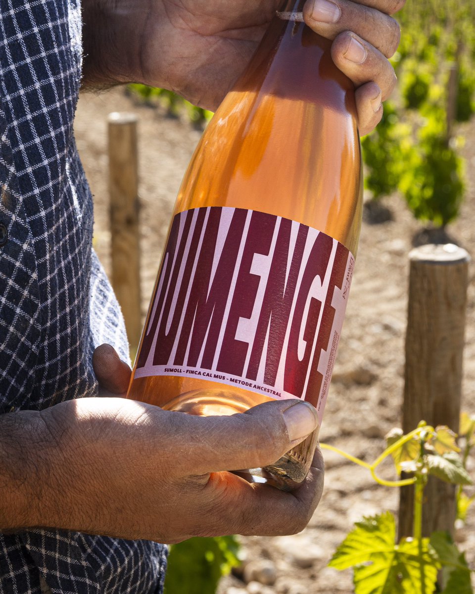 Dumenge Ancestral Sumoll 2023 es la última novedad de los jóvenes Oriol Roig (en la foto), Laia Esmel y Jaume Vilaseca. Nace en la finca Cal Mus (Alt Penedès). Burbuja fina y cremosa con un paso ligero y muy fresco. Para beber a todas horas. #vinodeldía bit.ly/3woKIy2