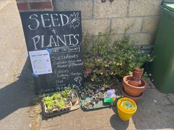 Growing together: Join Bitterne Park's seed and plant trail this weekend buff.ly/3yjE5hf #gardening #plants #seeds #Southampton