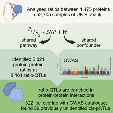 Reminder: If you are going to analyze large scale #multiomics data, consider using ratios: Genetic associations with ratios between protein levels detect new #pQTLs and reveal protein-protein interactions This also work for #metabolomics! sciencedirect.com/science/articl…