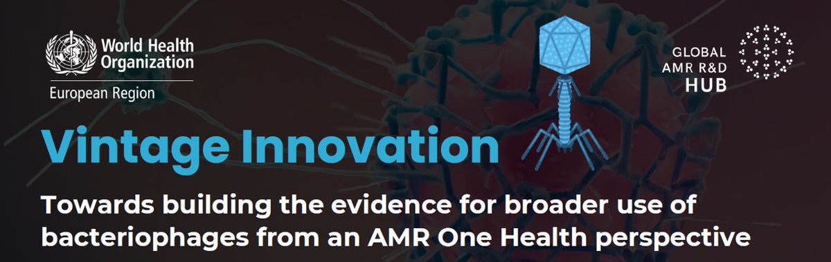 📢  “Vintage Innovation: Towards Broader Use of Bacteriophages in #AMR  -  led by @WHO Regional Office for Europe in collaboration with the @GlobalAMRHub 

📅 May 16th 2024
🕐 1pm - 2.30pm CEST
📍 Online

Registration ➡ who.zoom.us/webinar/regist…

#Phage #Innovation #OneHealth
