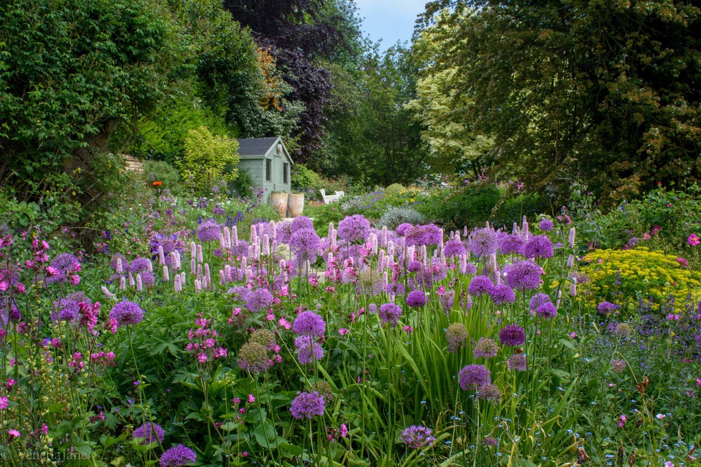 📷️The Old Rectory, Wrestlingworth. Bedfordshire A four acre garden full of colour and interest. The owner has a free style of gardening sensitive to wildlife. Open for the National Garden Scheme on Sunday 19 May👇️ findagarden.ngs.org.uk/garden/30845/t… #gardensopenforcharity @NGSBeds
