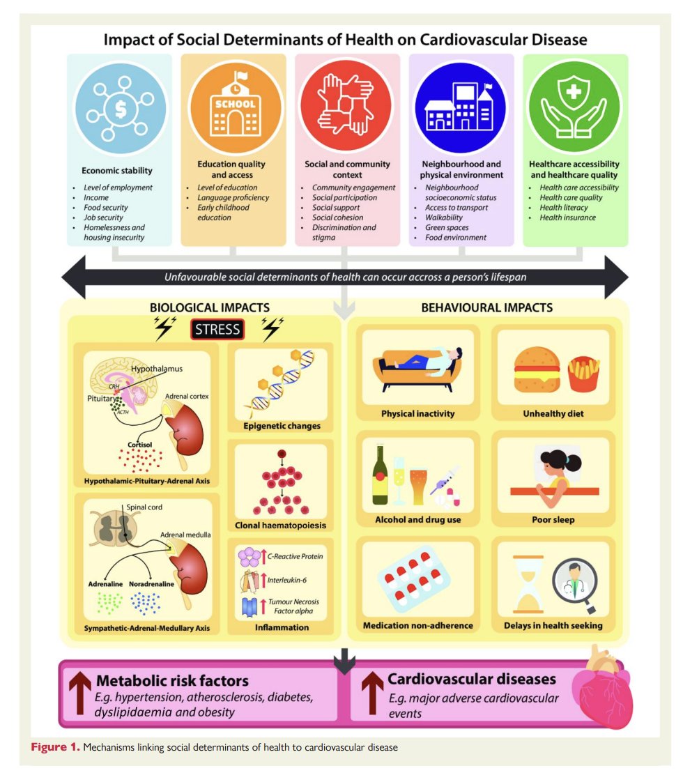 Nice article Social Determinants of Cardiovascular Health academic.oup.com/eurheartj/arti…