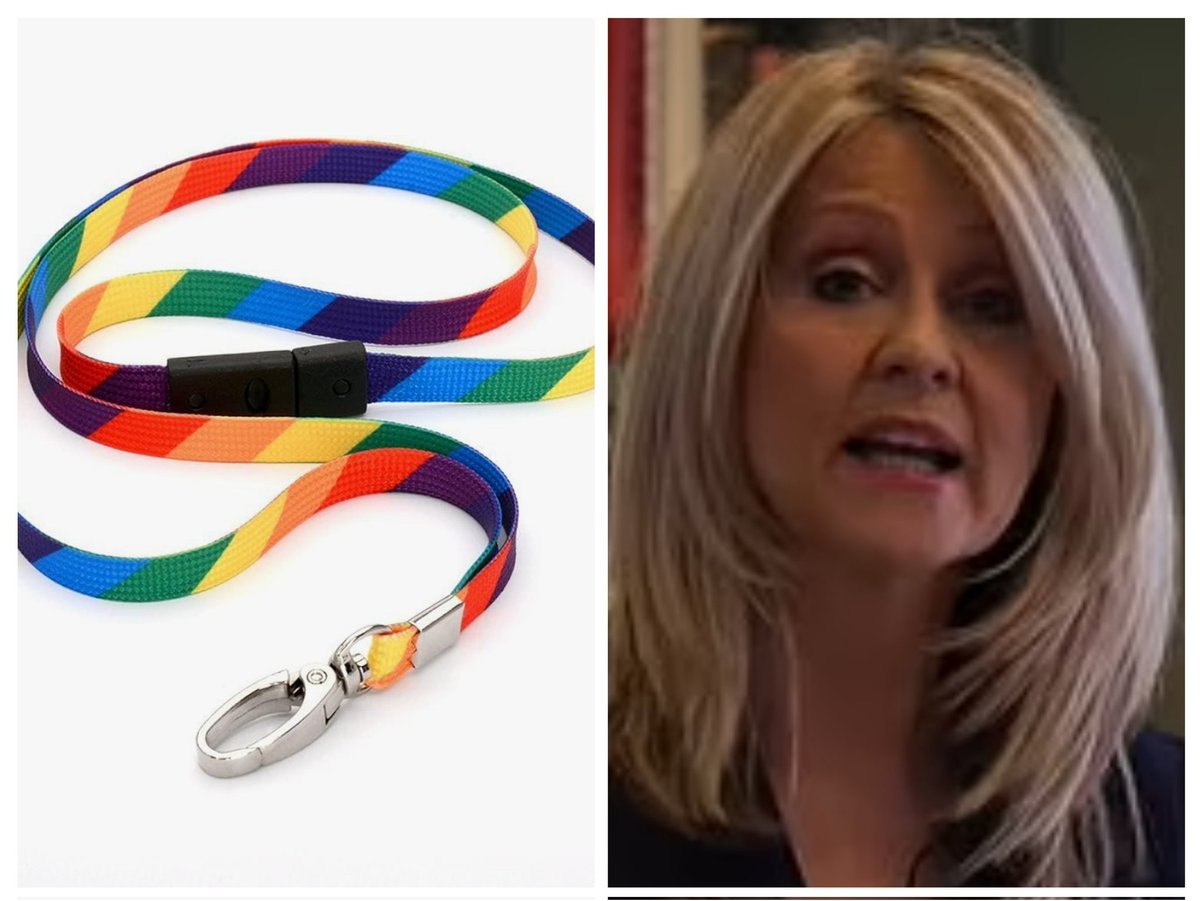 Get 'em quick folks, because since our Minister for common sense, Esther McVey, outlawed the humble rainbow 'Land Yard' (as she put it) yesterday, they are positively flying off the shelves! #EstherMcVey #CultureWars #ToryBrokenBritain