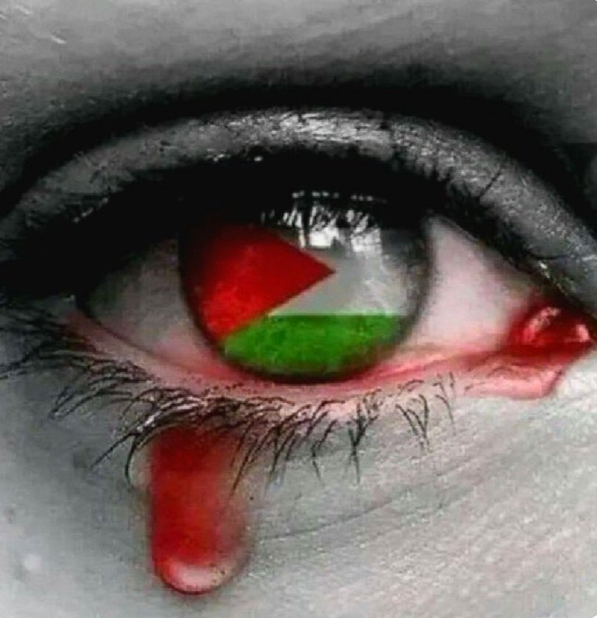 #FreePalestine #FreePalaestine #neverstop #nopasaran #nosurrender #FromtheRivertotheSea #FromtheRivertotheSeaPalestineWillbeFree #PalestinaLibre #BoicotIsrael #freegaza ,🕊️🍉👍👏🇵🇸🇵🇸🇵🇸✊