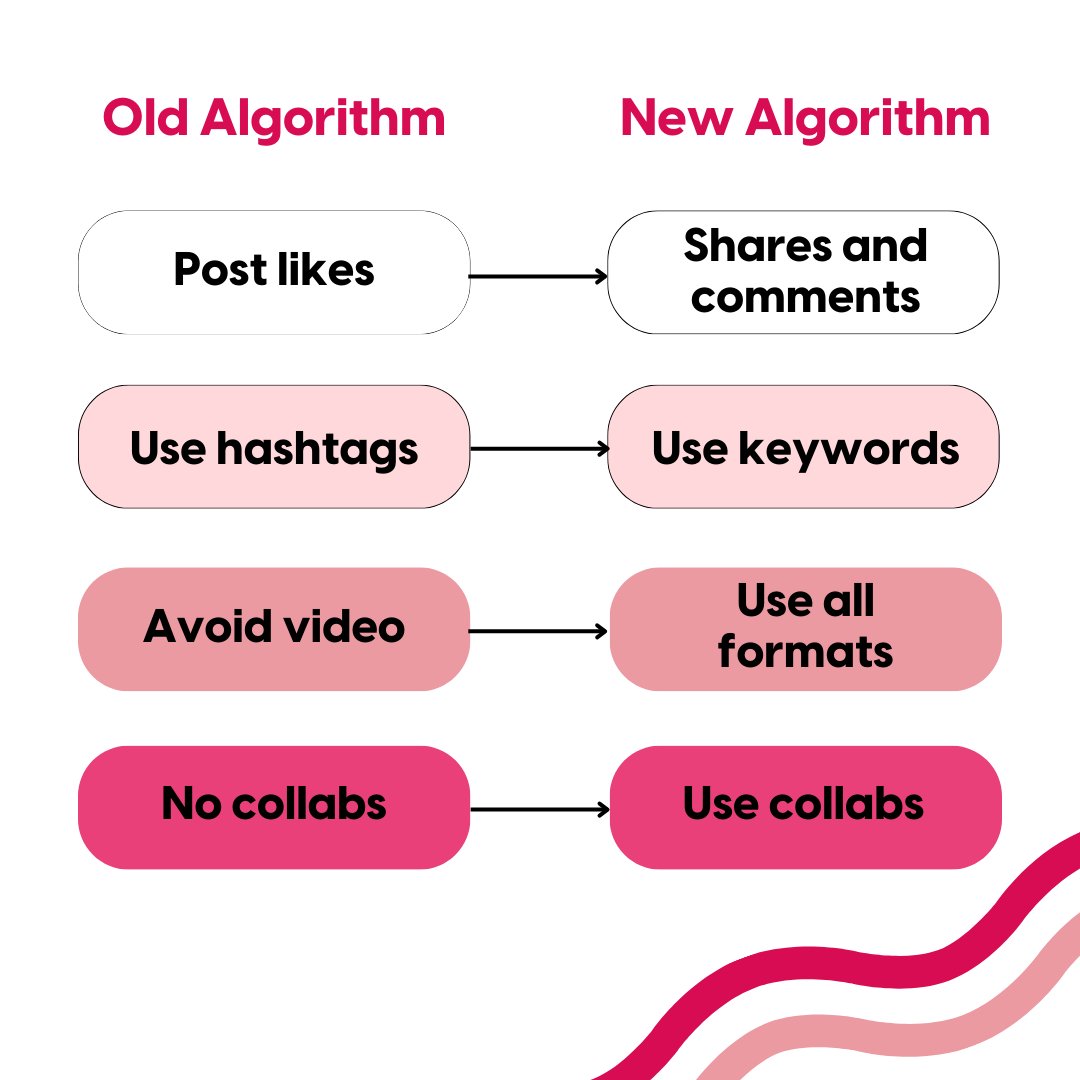 The Instagram algorithm has changed significantly! 😱 

So, if you want to stand out on Instagram in 2024 make sure you're embracing all formats, collaborating with other accounts, sharing and commenting and creating original content 👏