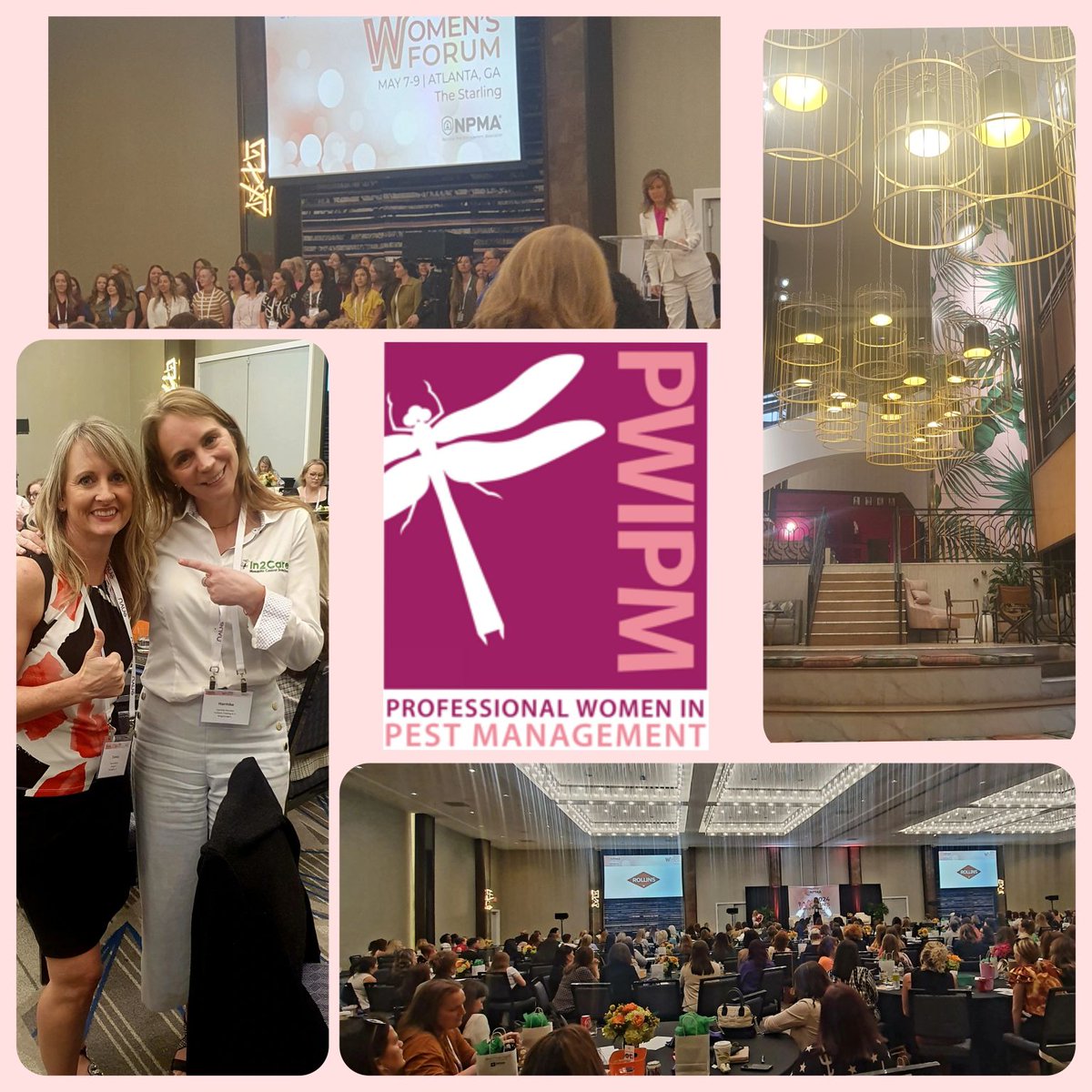In2Care's Harmke Klunder joined 400 professionals at the #NPMAWomensForum last week. We thank the  #ProfessionalWomenInPestControl from @NationalPestMgt for hosting this fabulous event!  
#pwipm #npma #equality #inclusion #in2care #empoweredwomen #pmp #pestmanagement