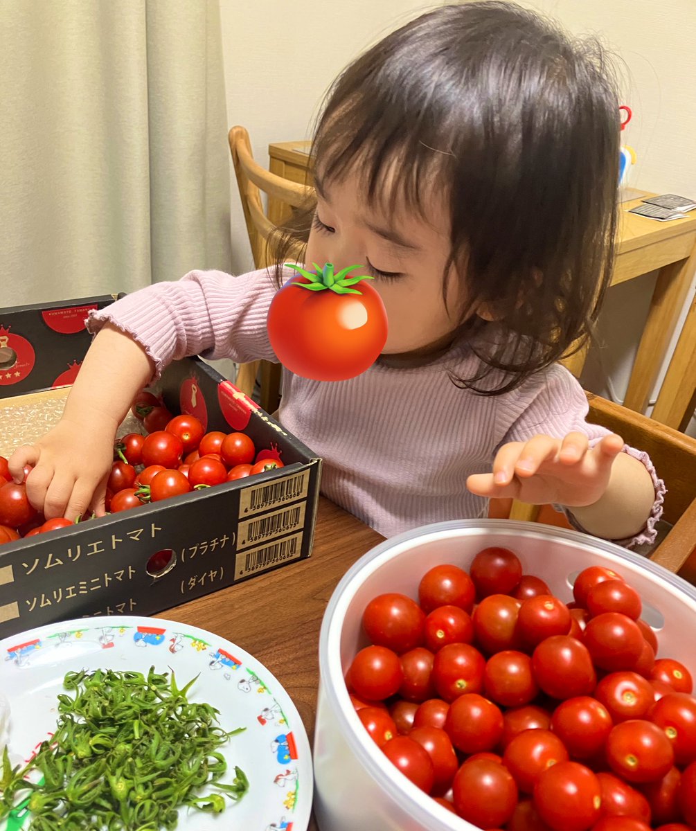 楽天で鬼リピートしてるミニトマト（2kg）
主食やからついにヘタ取りまで覚えた天使👼