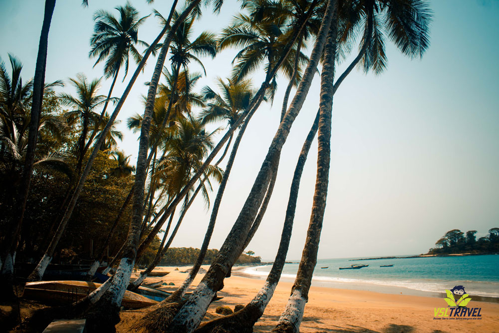 Sierra Leone, truly is quite remarkable. 
#salonetwitter #salonex #salonetourism #yearoftourism #tourismforall #domestictourism #visitsierraleone #vsltravel #discoversierraleone #beaches