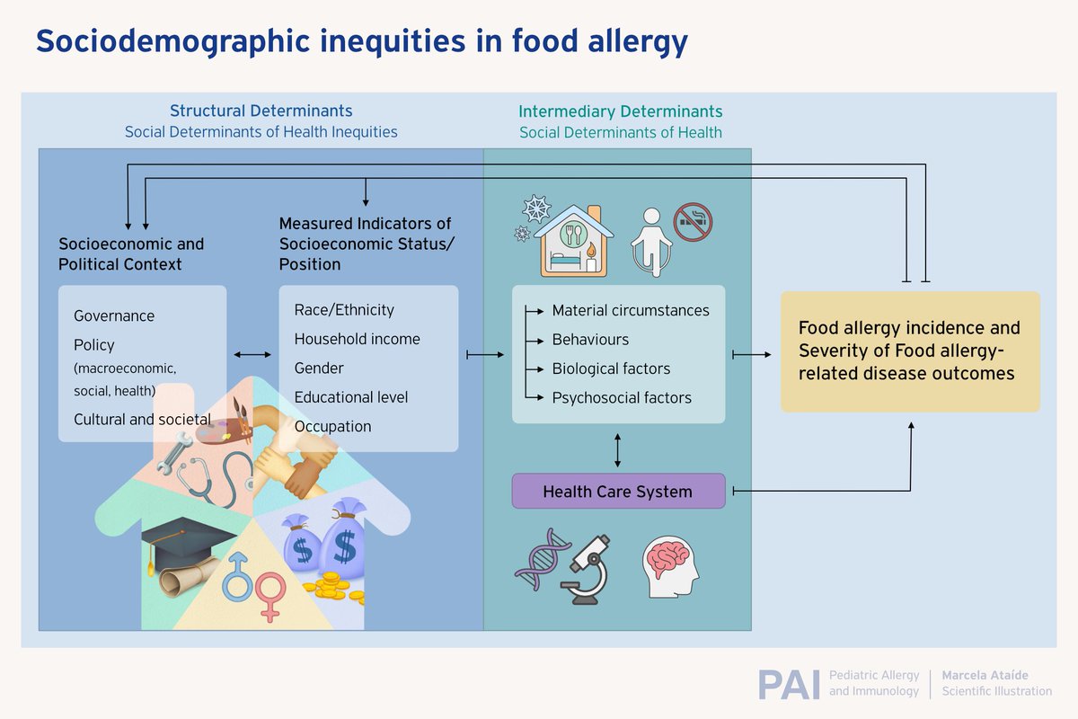 The #reviewarticle “Sociodemographic inequities in #foodallergy: Insights on food allergy from #birthcohorts” published in the #PAI_Journal is available! 
🔗 doi.org/10.1111/pai.14…
#epidemiology #foodhypersensitivity #healthdisparities #healthinequity