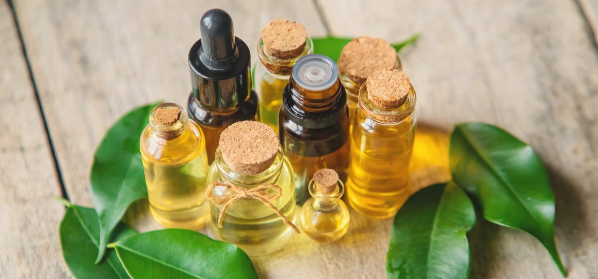 The #Tea Tree Oil Market! 🌿✨ Renowned for its natural healing properties, tea tree oil is capturing the attention of #consumers seeking alternative #remedies and skincare #solutions.

Get Details : shorturl.at/fBTZ5

#TeaTreeOil #NaturalRemedies #Skincare