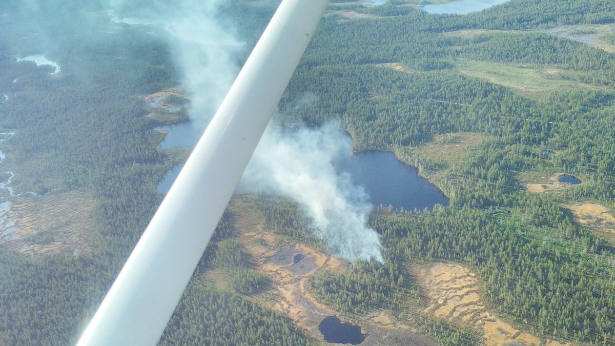 AVItwiittaa's tweet photo. Metsäpalojen tähystyslennot aloitettiin viikonloppuna Varsinais-Suomen, Kanta-Hämeen ja Päijät-Hämeen maakuntien alueilla. Tähystyslennot jatkunevat tällä viikolla maan eteläisimmillä tähystysreiteillä.

#Avi #tähystyslennot #metsäpalot

https://t.co/Ra09FG2Vdr https://t.co/SW7O6YTn3q
