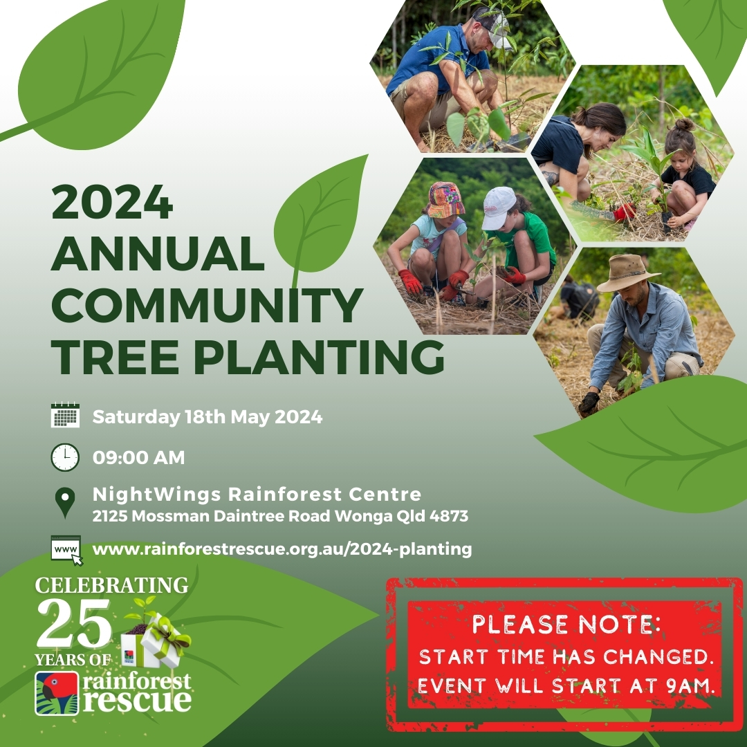 RFR_AU's tweet image. 📣 Important information re: the 2024 Annual Community Tree Planting 📣 
📣 START TIME HAS CHANGED - EVENT WILL START AT 9:00am 📣 

Full details &amp;amp; registration at events.humanitix.com/2024-annual-pl…

#PlantARainforest #TreesAreTheAnswer #RainforestRescueTurns25 #TreePlanting #RR25 #Daintree