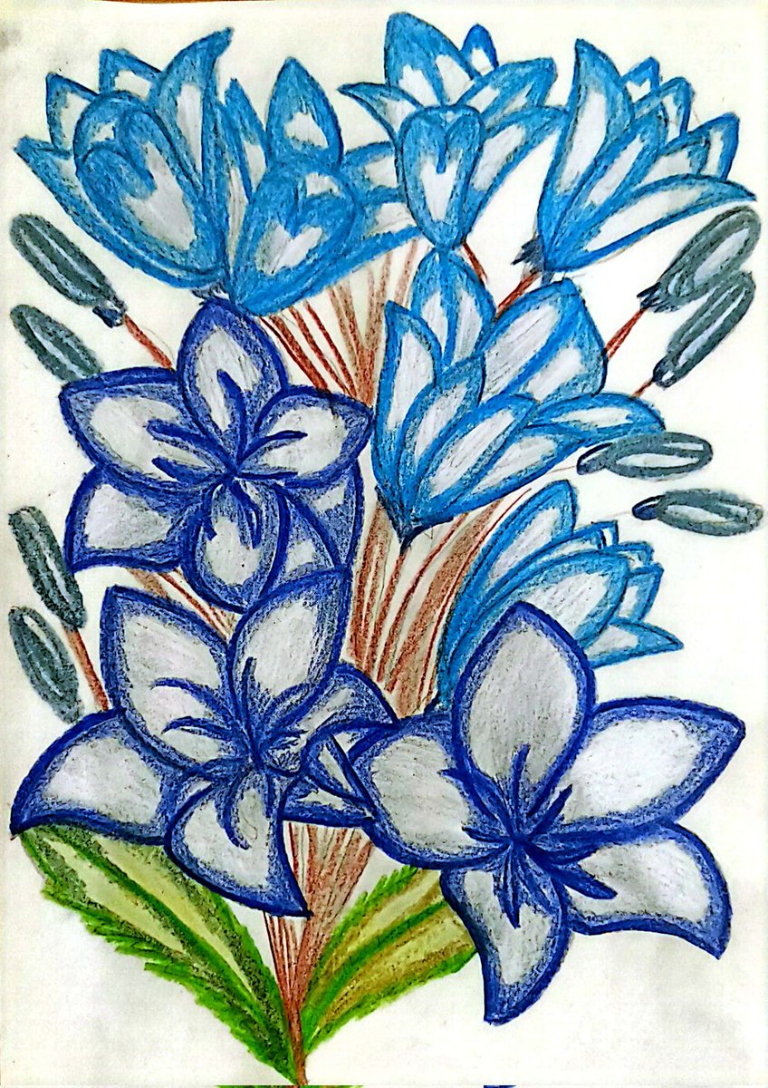 #May2024
#bluebellsflower
Day 14 Draw blue bells 
'Look at those blue bells they are like the sky fallen down' 
#ElizabethGoudge
#gratitudetherapy
#manifestationtherapy 
#drawingtherapy
#coloringtherapy
#mandalarttherapy
#mindfulnesstherapy
#animedrawingarttherapy