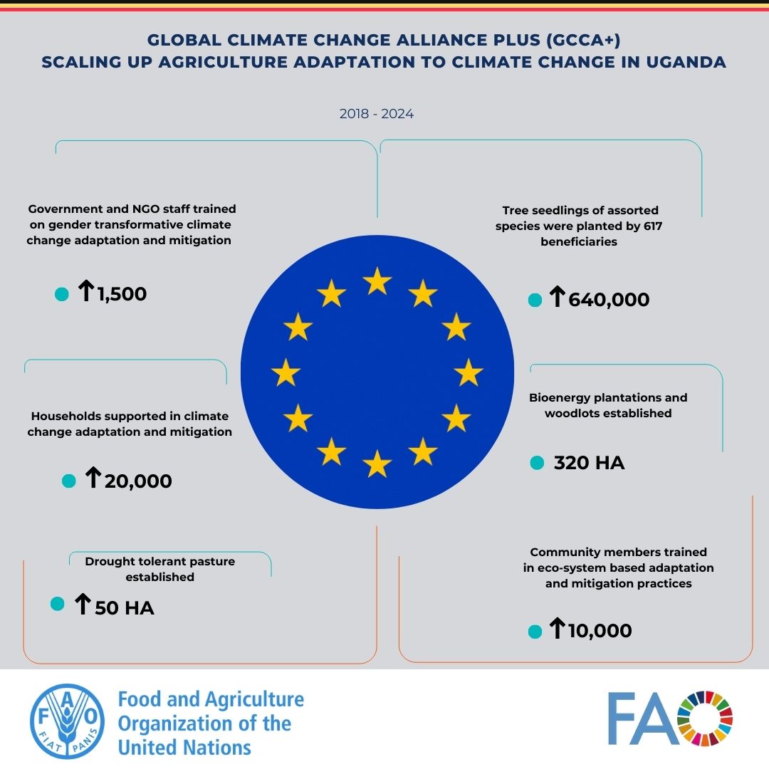 Take a look at the remarkable impacts of @FAO's GCCA+ project. ✅ 640,000 tree seedlings planted ✅ Training for 1,500+ Govt & NGO staff in gender-inclusive #ClimateAction ✅ Rehabilitation of over 1,000 ha of degraded land Kudos👏to @EUinUG for the invaluable funding support