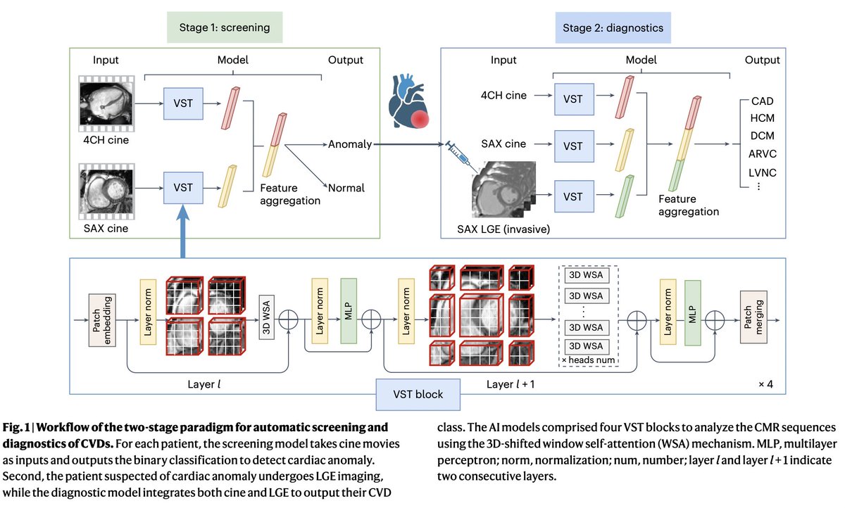 Joyce Yan-Ran Wang tweet media
