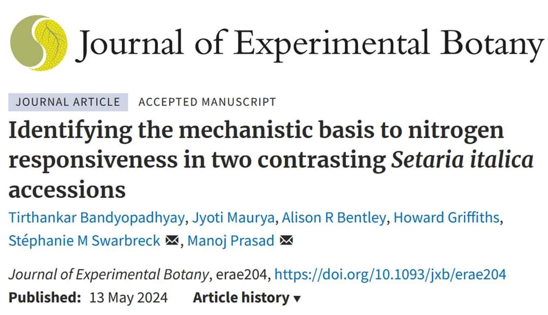 Dr. Manoj Prasad's group has published their latest research in @JXBot, entitled 'Identifying the mechanistic basis to nitrogen responsiveness in two contrasting Setaria italica accessions.' Learn more: doi.org/10.1093/jxb/er… @DBTIndia @rajesh_gokhale @ProfSubhraNIPGR