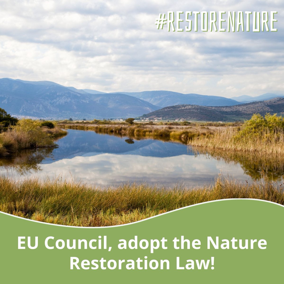 The failure to adopt the Nature Restoration Law not only jeopardises Europe’s ability to respond to biodiversity loss & climate change but risks derailing international efforts to #RestoreNature under UN Global Biodiversity Framework environmentalpillar.ie/time-to-get-th…