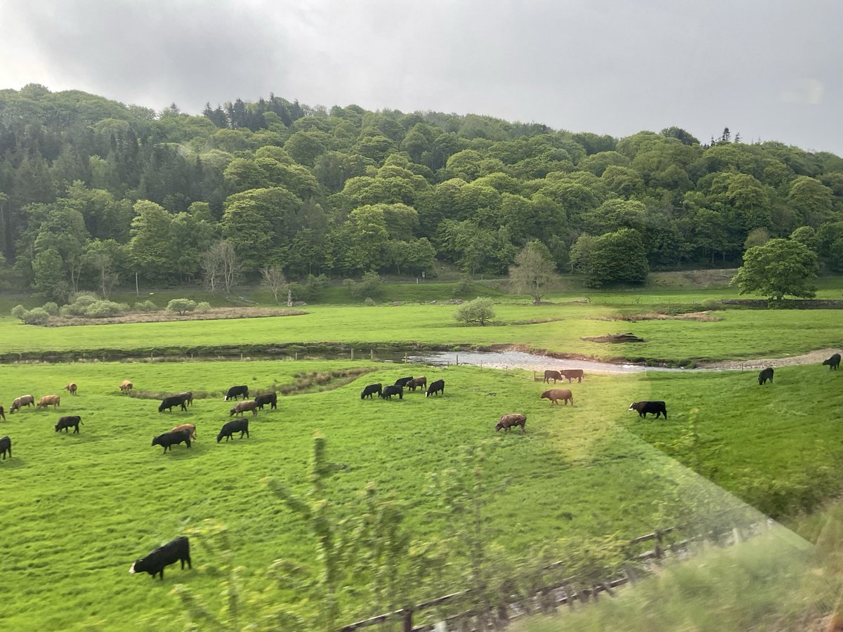 LesleyRecMH's tweet photo. Trundling through the Scottish Borders to the Peer Support Network event in Galashiels. So looking forward to today and what we can achieve together! #PeerSupport #PeerSupportRocks https://t.co/j9DgbWaWnL