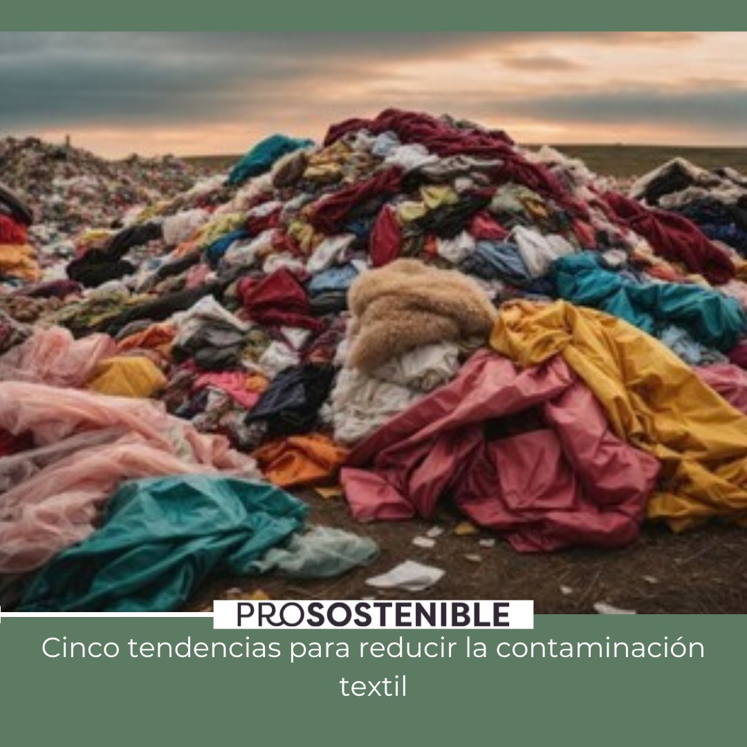 ¡Descubre cómo reducir la contaminación textil con estas cinco tendencias sostenibles! Juntos podemos hacer la diferencia. prosostenible.es/cinco-tendenci… #Prosostenible #ModaSostenible #CambioClimático #TendenciasSostenibles #Sostenibilidad #sostenible #economíacircular #innovación #ods