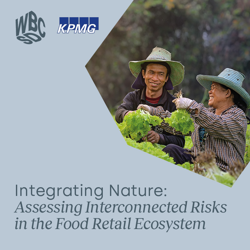 🏞What is the network of risks impacting a food retailer's ability to embed nature into business practices?🍎 👉Find out in our latest report in collaboration with @KPMG: wbcsd.org/Projects/Embed… #NaturePositive #FoodSystems
